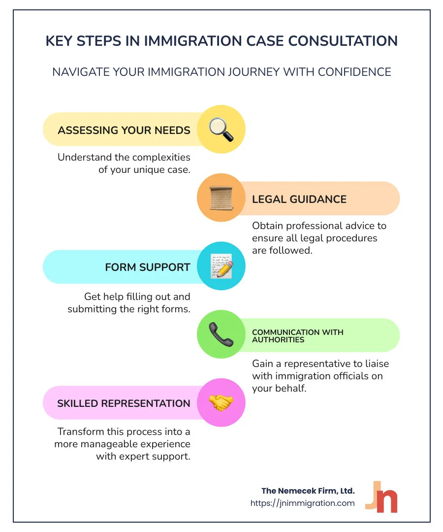 The Steps in Immigration Case Consultation Process - immigration case consultation infographic infographic-line-5-steps-colors